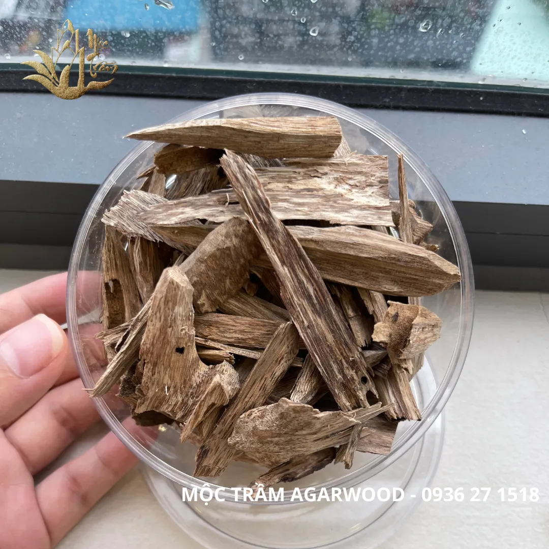 High-Oil Agarwood Chips – “Kien Toc” Vietnamese Wild Oud (Limited Collection | Multi-Weight Options)